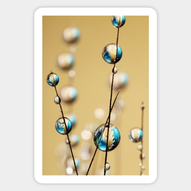 Sapphire and Gold Grass Seed Drops Sticker by SharonJ